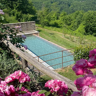 Blick von der Terrasse auf den Pool