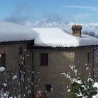 Gabi beim Spaziergang im Winter mit viel Schnee