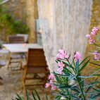 Blumen im Innenhof